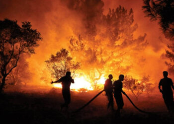 Orman Yangınları Demans Riskini Artırıyor