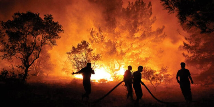 Orman Yangınları Demans Riskini Artırıyor