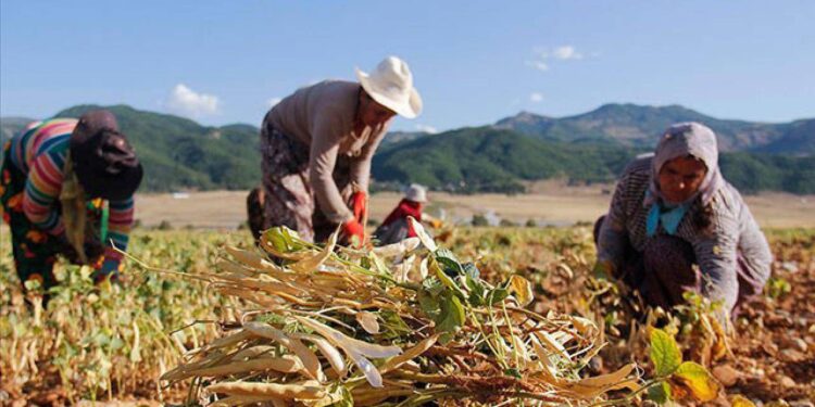 Orman yangınları, tarım sektöründeki sorunlar ve üreticilere etkisi TBMM gündeminde