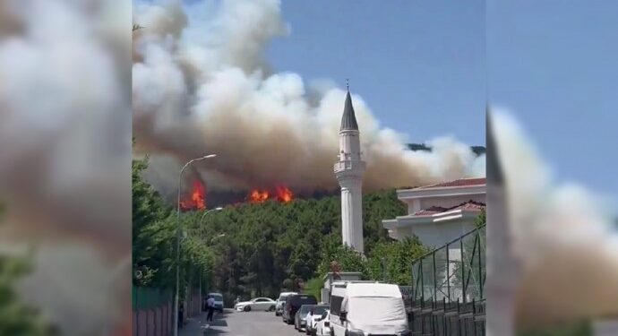 Pendik Aydos Ormanı’nda çıkan yangın kontrole alındı