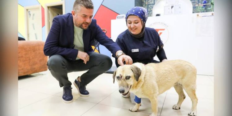 Sağlığına kavuşması için her şeyi yapmaya hazırız