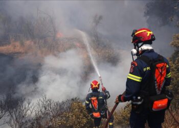 Sakız Adası’nda çıkan yangın sakız ağaçlarını tehdit ediyor