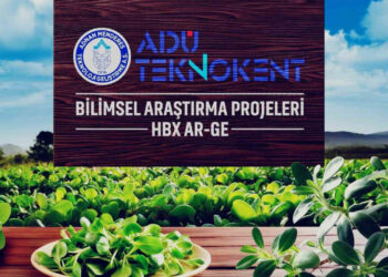 Semizotunun Sağlığa Sayısız Faydası Var