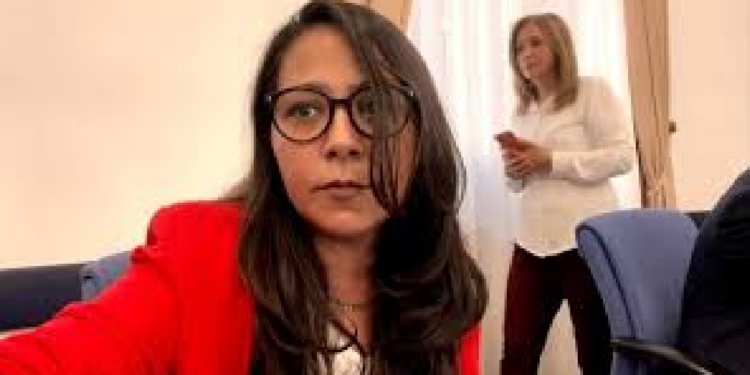 Sera Kadıgil 4. Maddeye Dikkat Çekmişti: Değişikliğe Gidildi