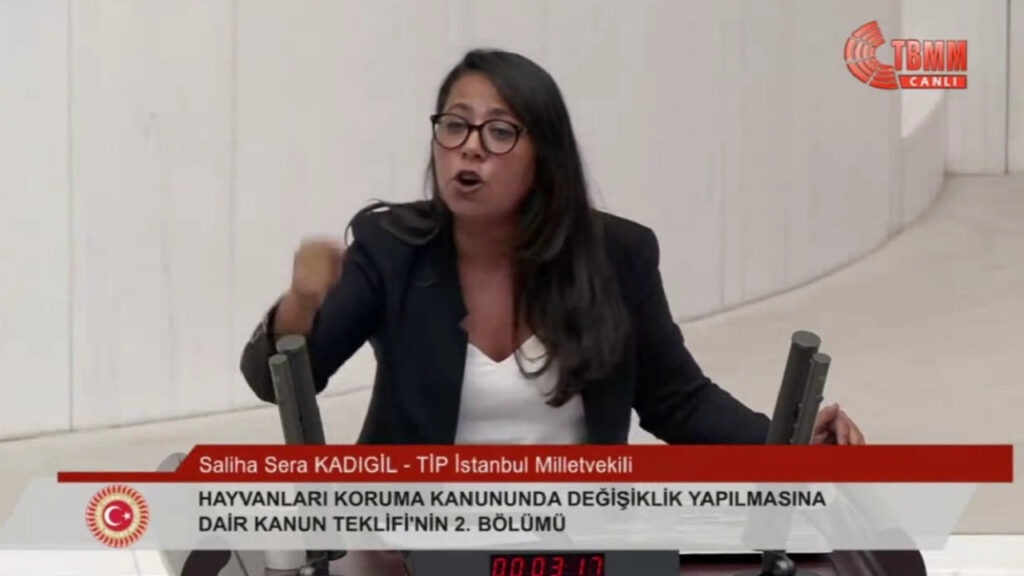 Sera Kadıgil Kürsüye Çıktı, AKP'li Vekiller Meclis'i Terk Etti: 'Kimsenin Kılına Zarar Vermemiş Köpekleri Katletme Peşindeler'