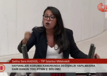 Sera Kadıgil Kürsüye Çıktı, AKP'li Vekiller Meclis'i Terk Etti: 'Kimsenin Kılına Zarar Vermemiş Köpekleri Katletme Peşindeler'
