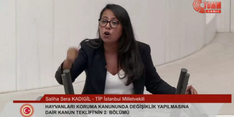 Sera Kadıgil Kürsüye Çıktı, AKP'li Vekiller Meclis'i Terk Etti: 'Kimsenin Kılına Zarar Vermemiş Köpekleri Katletme Peşindeler'