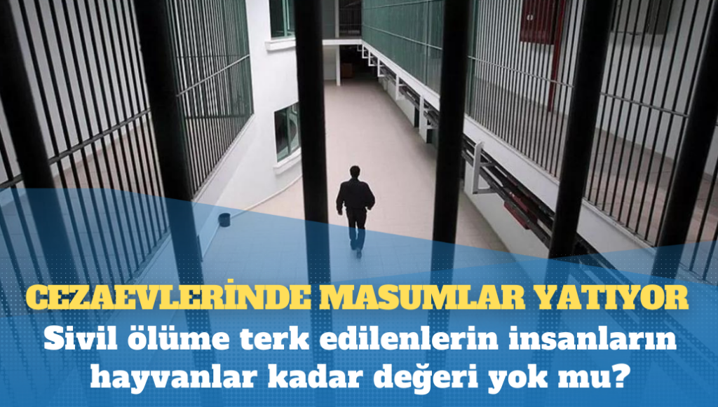 Sivil ölüme terk edilenlerin insanların hayvanlar kadar değeri yok mu?