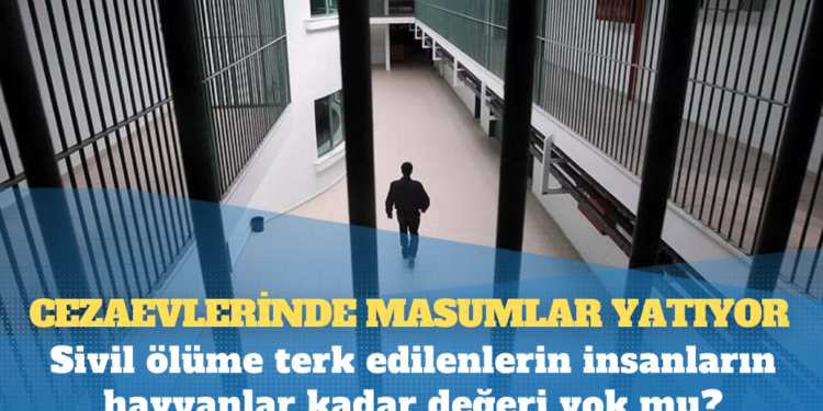 Sivil ölüme terk edilenlerin insanların hayvanlar kadar değeri yok mu?