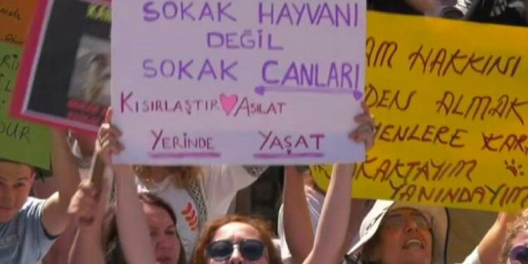 Sokak hayvanları yasa tasarısına karşı eylem devam ediyor: Yaşam nöbetimiz bitmeyecek