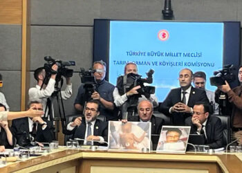 Sokak hayvanları yasa teklifi: Görüşmeler kavgalı başladı