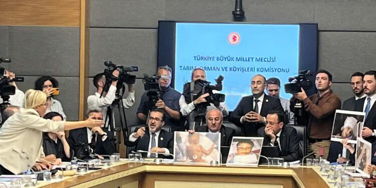 Sokak hayvanları yasa teklifi: Görüşmeler kavgalı başladı