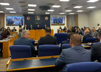 Sokak hayvanlarının öldürülmesini öngören teklifin görüşmeleri ertelendi