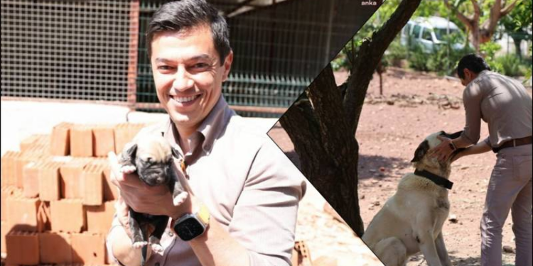 Sokak hayvanlarının yaşama hakkını sonuna kadar savunacağız