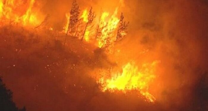 Soma’daki orman yangını söndürülemedi: İki köy tahliye edildi