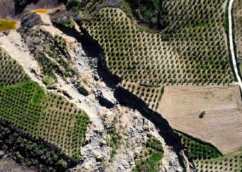 TOKİ’ye yol için mülk sahiplerinden habersiz zeytinlikleri kesildi: “Haber verecektik”