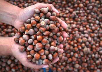 Taban fiyatı 180 lira olmalı