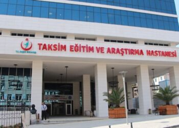 Sivrisinekten sonra klima: Taksim Eğitim ve Araştırma Hastanesi için enfeksiyon uyarısı