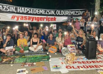 Tek çözümün bugüne kadar uygulanmayan yerinde yaşatma olduğunu gizleyemezsiniz
