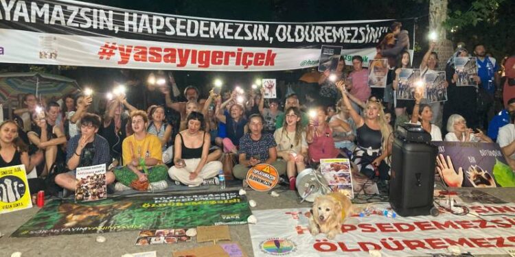 Tek çözümün bugüne kadar uygulanmayan yerinde yaşatma olduğunu gizleyemezsiniz