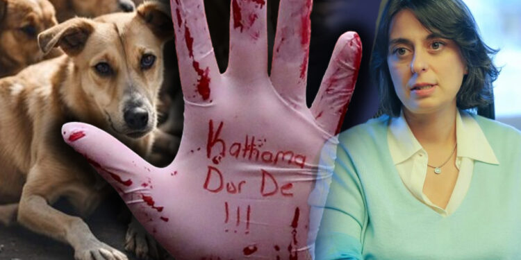 Üsküdar Belediye Başkanı Sinem Dedetaş'tan Katliam Yasası'na Net Tavır: Hapis Cezasına Razıyım