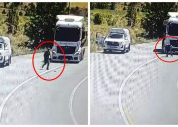 Yolun Ortasındaki Yaralı Serçeyi Kurtarmak İstedi, Kamyon Çarptı