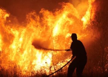 Yunanistan'da yangın çıkan ormanda araç içinde bir kişinin cesedi bulundu