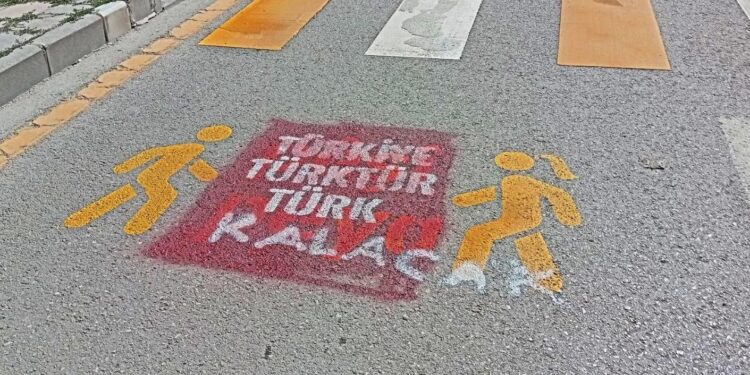 ‘Türkiye Türktür, Türk kalacak’ yazan çocuk, polisten fikir almış