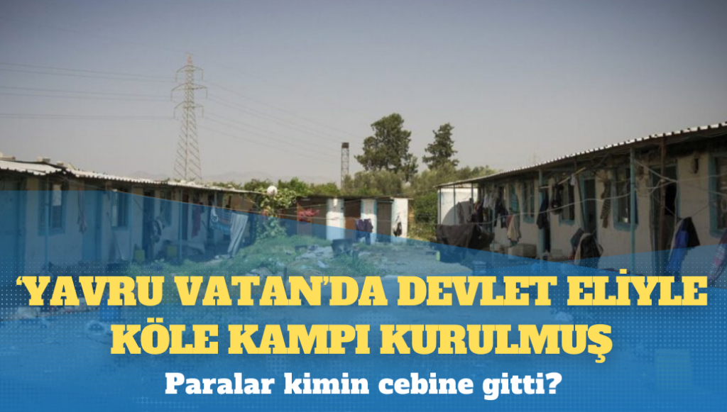 ‘Yavru Vatan’da devlet eliyle köle kampı kurulmuş: Paralar kimin cebine gitti?