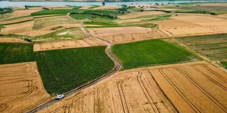 1 Buçuk Milyar Dolarlık Dev Yatırım! İlk Büyük Batarya Fabrikasının Kurulacağı Yer Belli Oldu