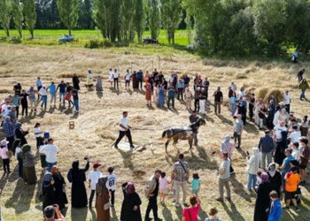 100 Yıllık Tarım Aletleriyle Hasat