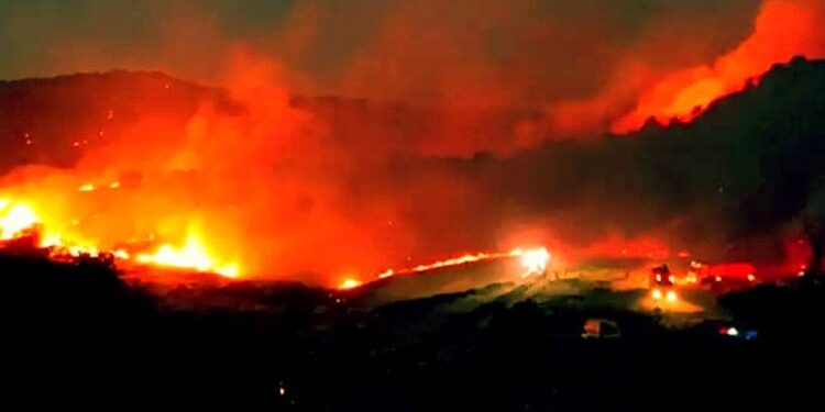 2'si çocuk 6 kişi gözaltında, 3 kişi aranıyor