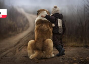 Barınak ve Ötanazi: Köpekler için Nazi Kanunu