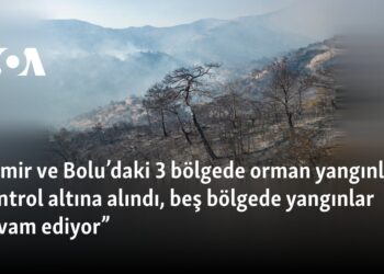 “İzmir ve Bolu’daki 3 bölgede orman yangınları kontrol altına alındı, beş bölgede yangınlar devam ediyor”