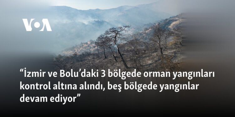 “İzmir ve Bolu’daki 3 bölgede orman yangınları kontrol altına alındı, beş bölgede yangınlar devam ediyor”