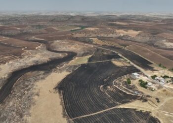 Amed Belediyesi’nden yangından etkilenen çiftçilere tohum desteği