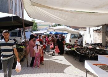 Pazar alışverişi: Meyve ve sebzenin çürüğünü alabiliyoruz