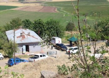 Narin Güran’ı arama çalışmaları sürüyor: Ağabeyi serbest bırakıldı