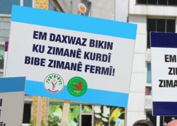 DEM Parti’den önerge: Kürtçe resmi dil olmalı