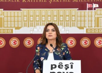 Koçyiğit: Kürt düşmanlığınız asfalta kadar düştü