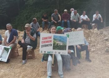 Giresun’da maden protestosu: Fatsa’dan Şirnex’e kadar talan aynı aklın ürünü