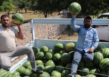 Kavun-karpuz üreticisi: Böyle giderse çiftçiliği bırakacağız