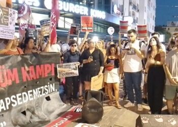 Köpek katliamına karşı tepkiler sokağa taştı