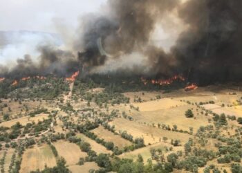 Amed Barosu’ndan yangın raporuna tepki: Failleri aklıyor