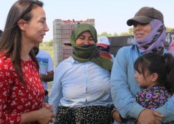 Hatimoğulları: Bu ülkenin ekmeğe de adalete de ihtiyacı var