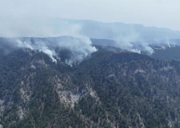 Bolu’da orman yangını: 490 kişi tahliye edildi