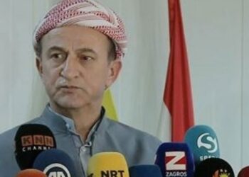 Ethem Barzani: İşgalle yetinmeyip gazetecileri katlediyorlar