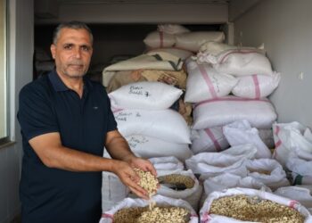 Rihalı fıstıkçılar ‘destek ve taban fiyat’ istiyor
