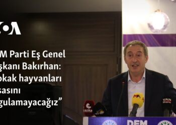 DEM Parti Eş Genel Başkanı Bakırhan: “Sokak hayvanları yasasını uygulamayacağız”