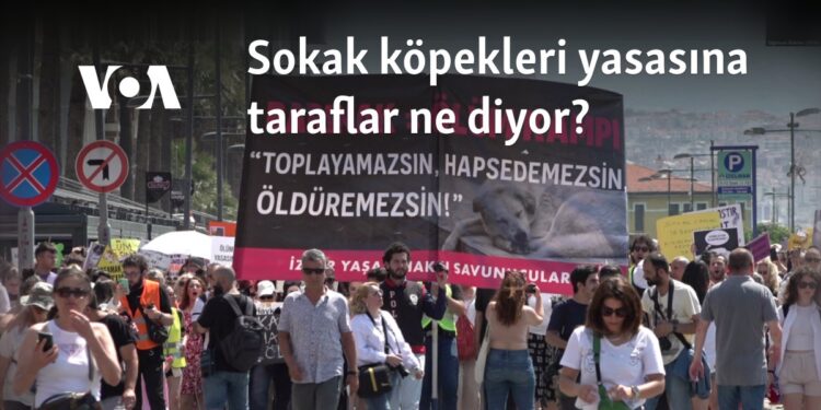 Sokak köpekleri yasasına taraflar ne diyor?